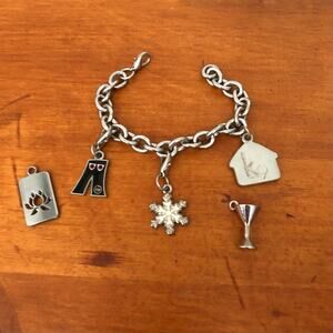 Charm Bracelet Silver Plated Jeans, Doghouse, Star Champagne Flute Symbol Charms